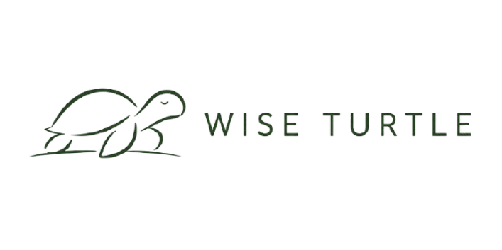 Wise Turtle Stories